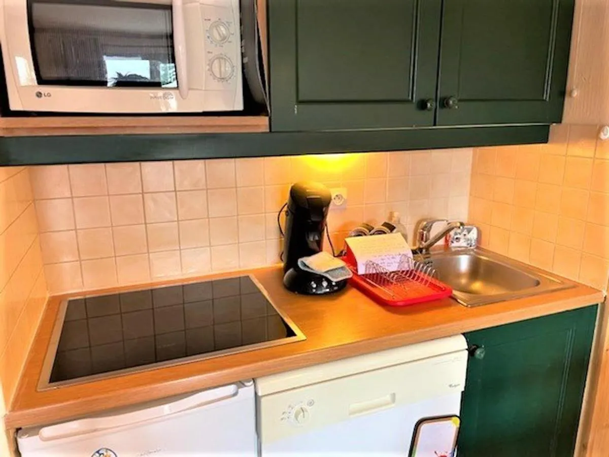 Charmant T2 Avec Grande Terrasse, Proche Telecabines Et Commerces, Parking Inclus - Fr-1-330F-43 Serre Chevalier 0*,  France
